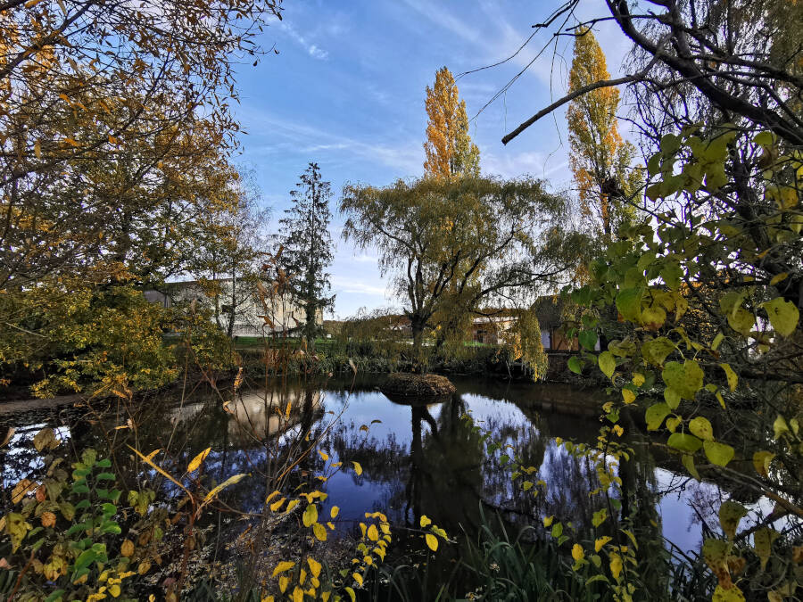 Teich am Rappenhof