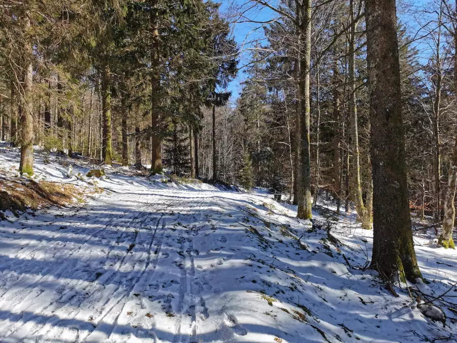 Hochfeld im Elsass