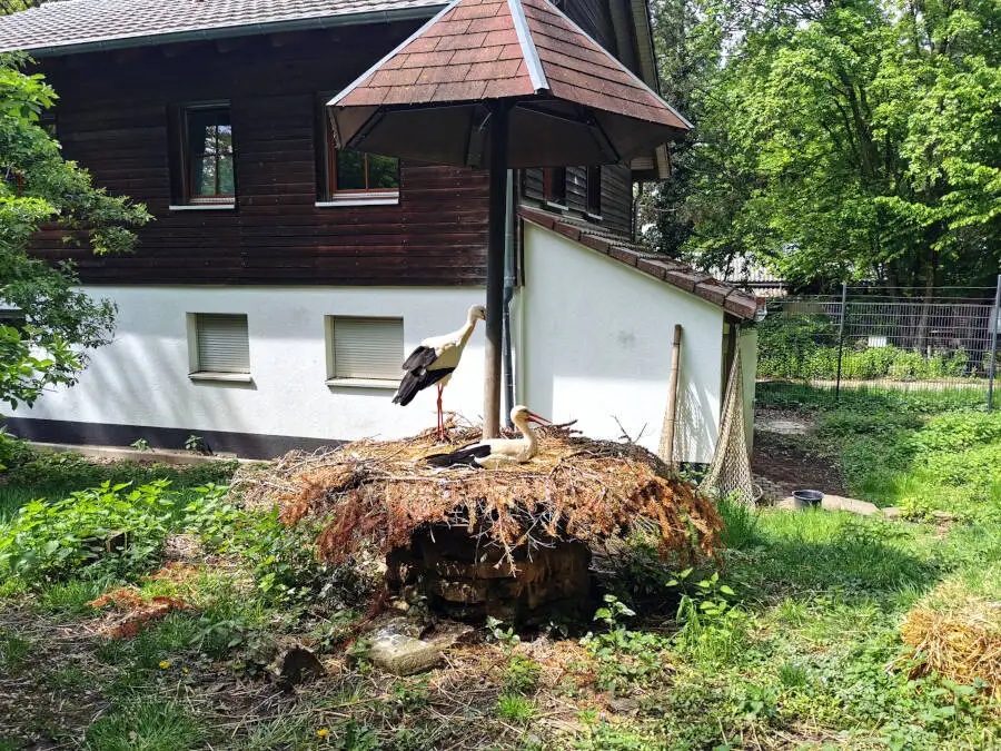 Wildpark Pforzheim