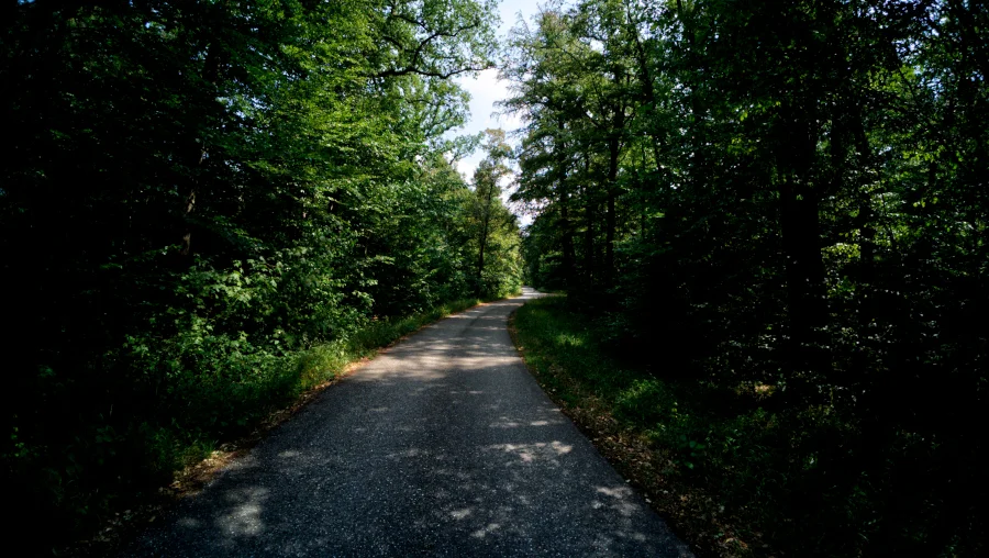 Wald, Gerlingen