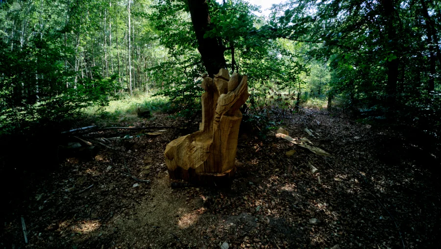 Wald, Gerlingen