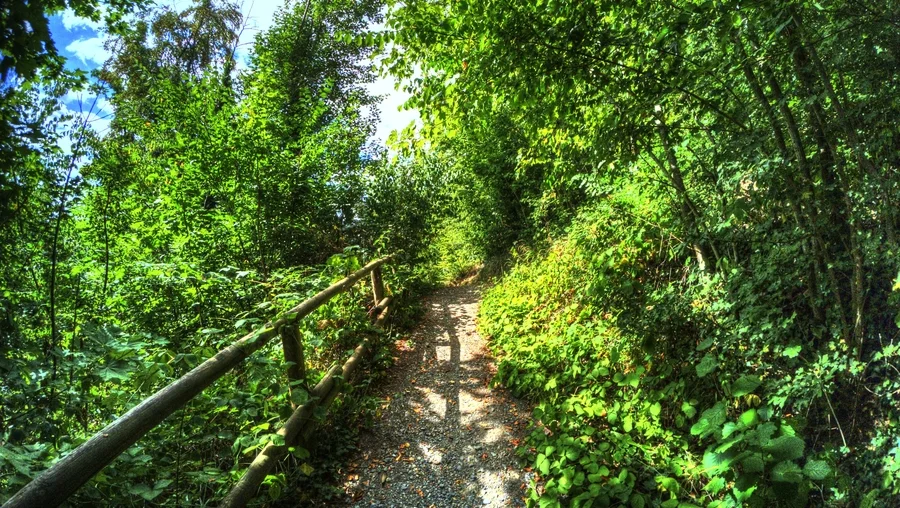 Nagold in Baden-Württemberg