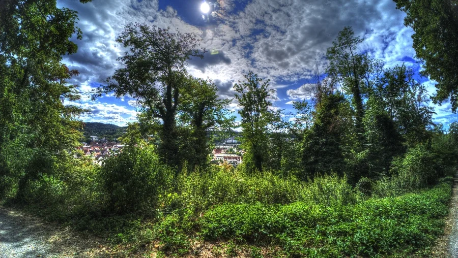 Nagold in Baden-Württemberg