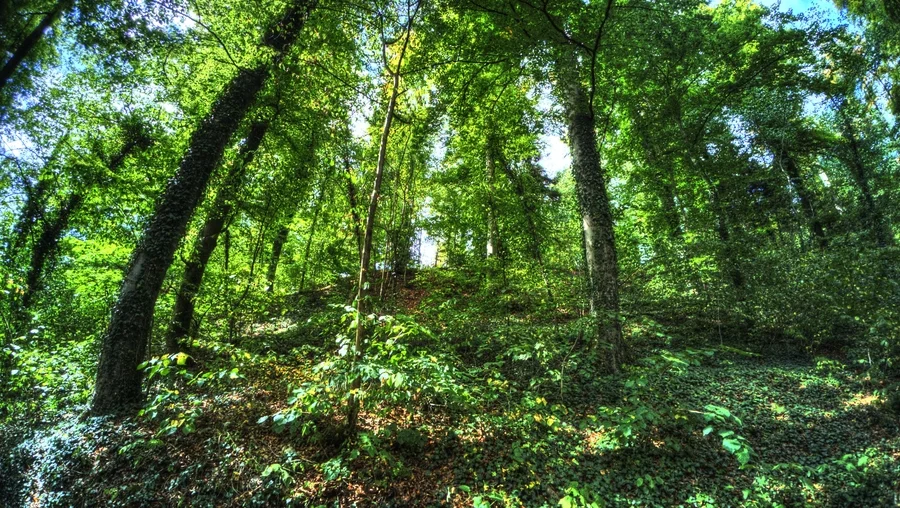 Nagold in Baden-Württemberg