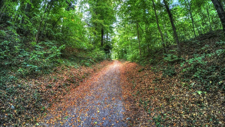 Nagold in Baden-Württemberg