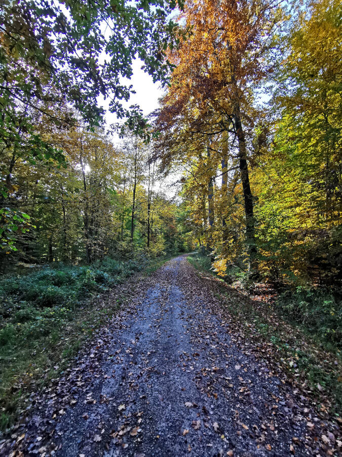 Katzenbacher See, Stuttgart