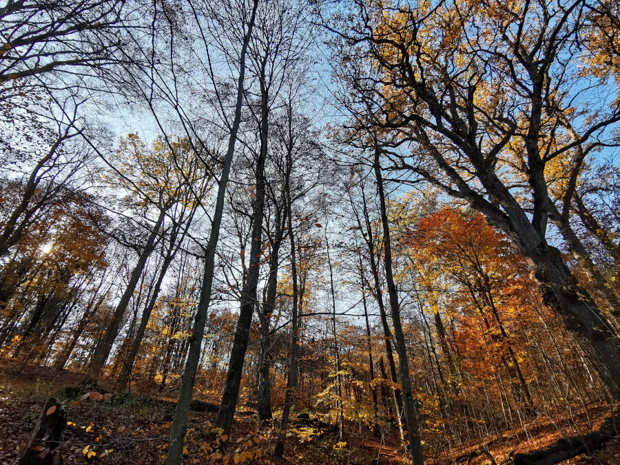 Bärensee nahe Stuttgart