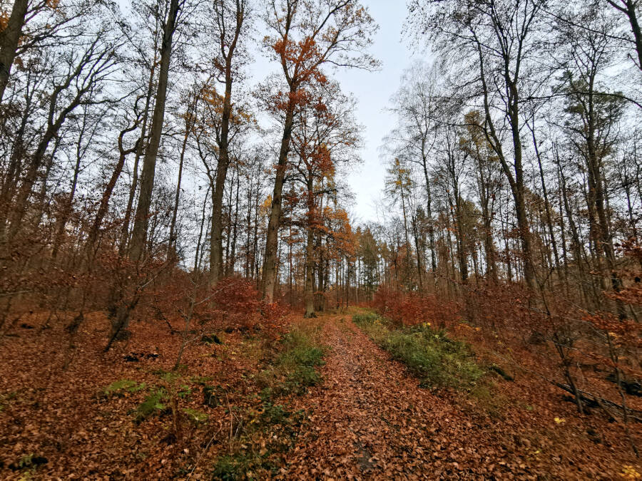 Krummbachtal, Gerlingen