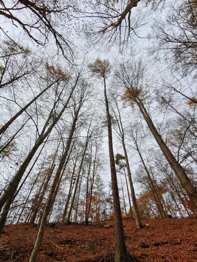 Krummbachtal, Gerlingen
