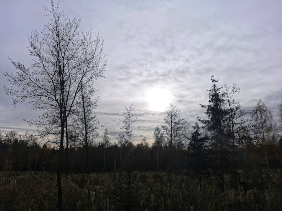 Krummbachtal, Gerlingen