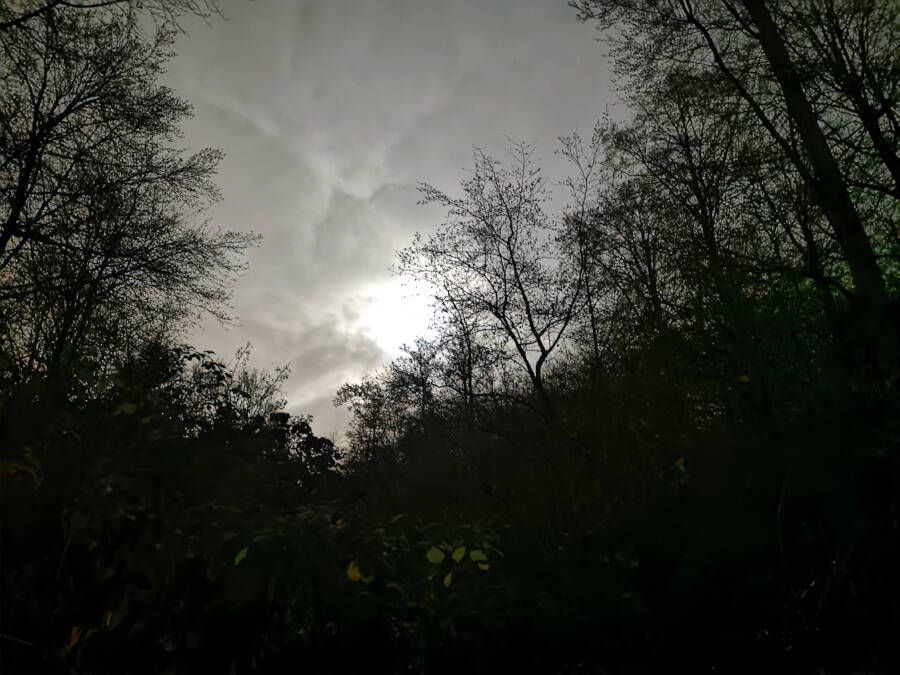 Spaziergang bei Mondschein