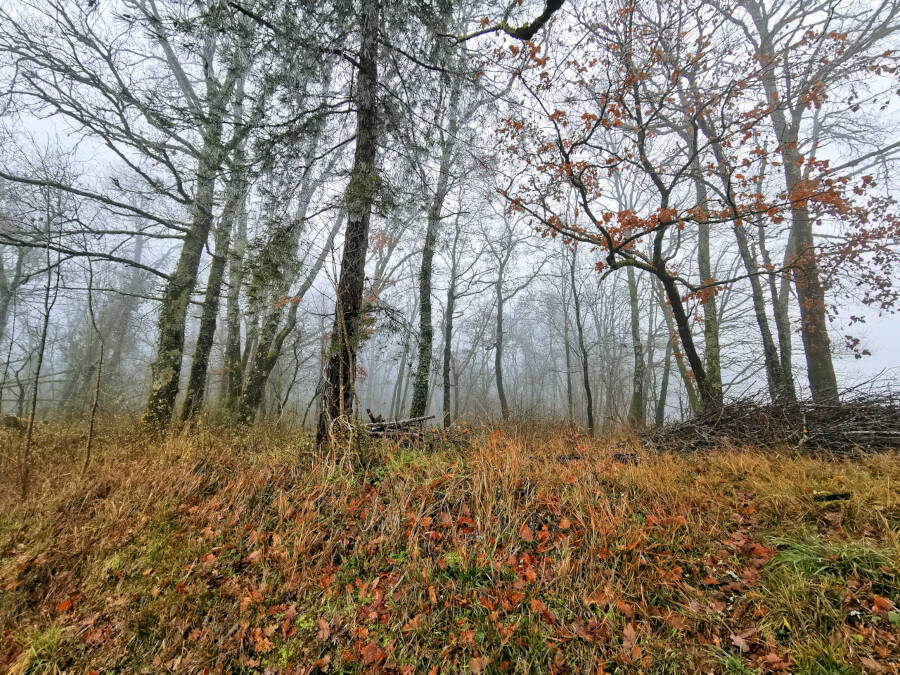 Neujahrsspaziergang in Thenon, Frankreich