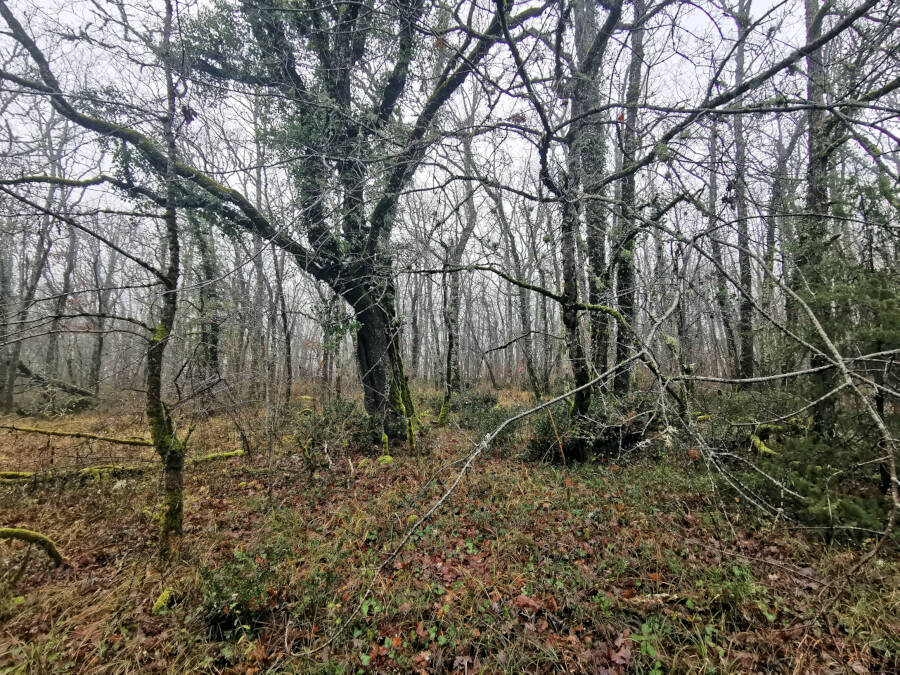 Neujahrsspaziergang in Thenon, Frankreich