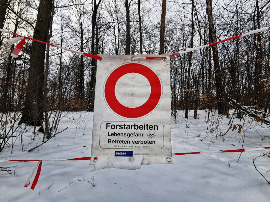 Forstarbeiten im Wald