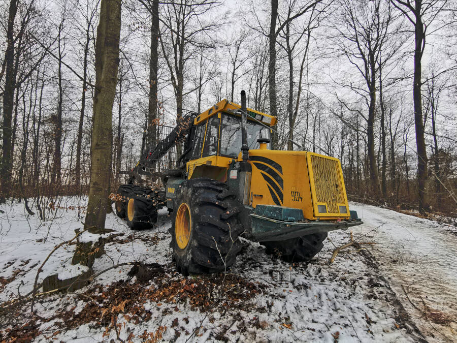 Forstarbeiten im Wald