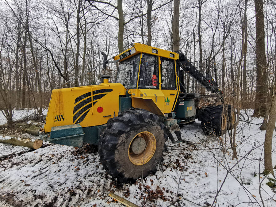 Forstarbeiten im Wald