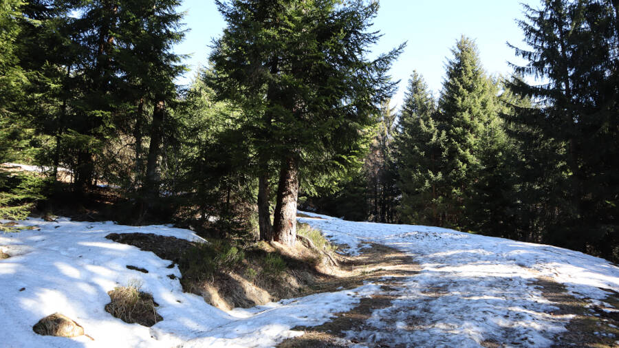 Ruhestein im Schwarzwald