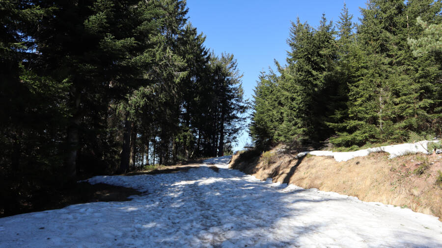 Ruhestein im Schwarzwald