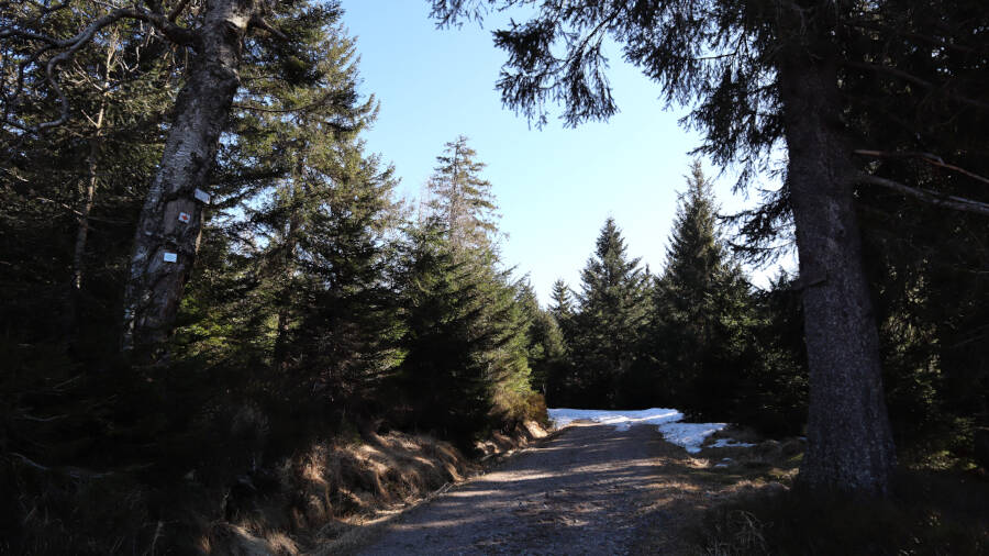 Ruhestein im Schwarzwald