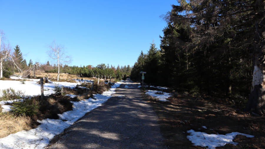 Ruhestein im Schwarzwald