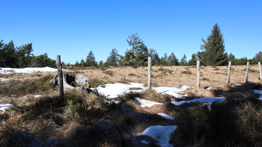 Ruhestein im Schwarzwald