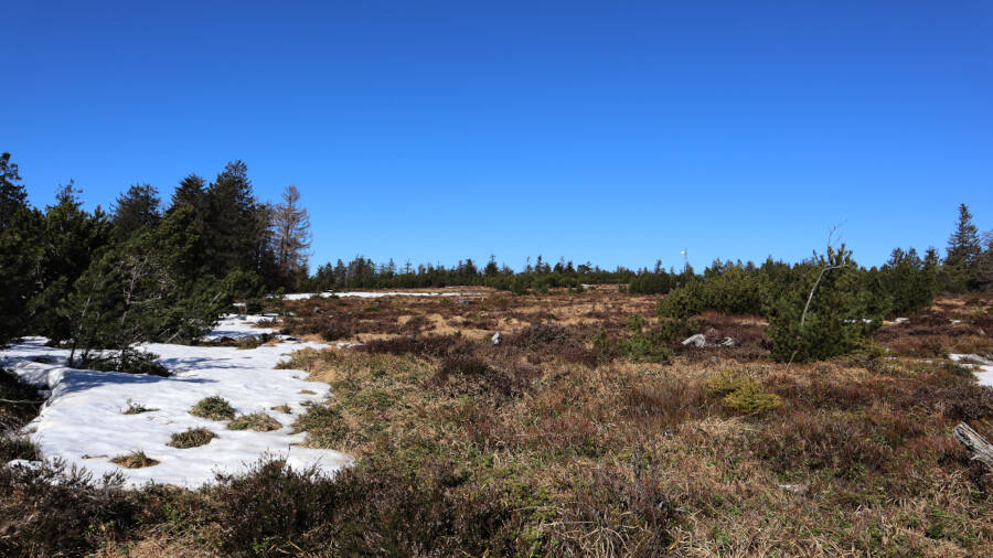Ruhestein im Schwarzwald