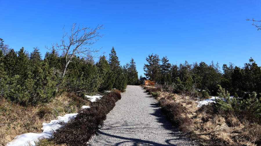 Ruhestein im Schwarzwald