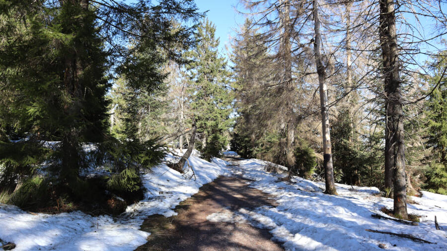 Ruhestein im Schwarzwald