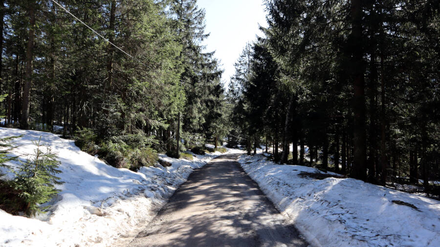 Ruhestein im Schwarzwald