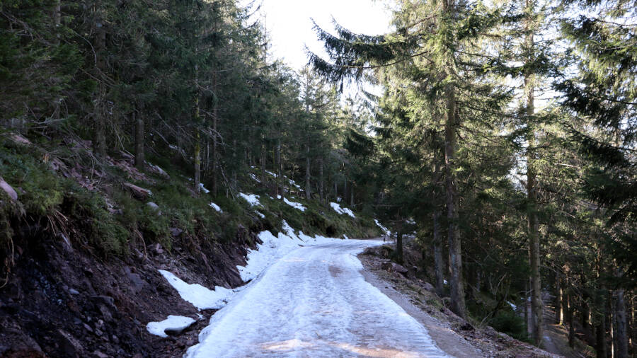 Ruhestein im Schwarzwald