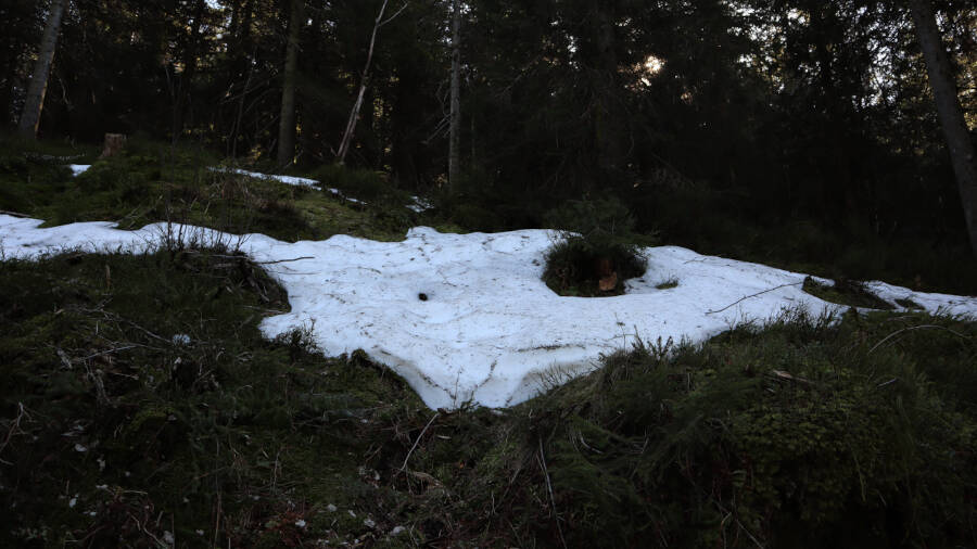 Ruhestein im Schwarzwald
