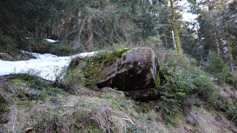 Ruhestein im Schwarzwald