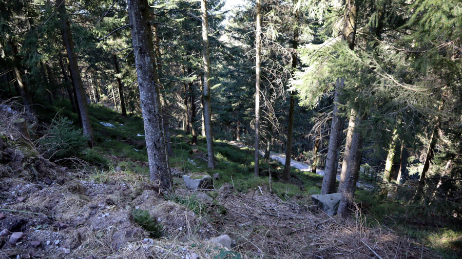 Ruhestein im Schwarzwald