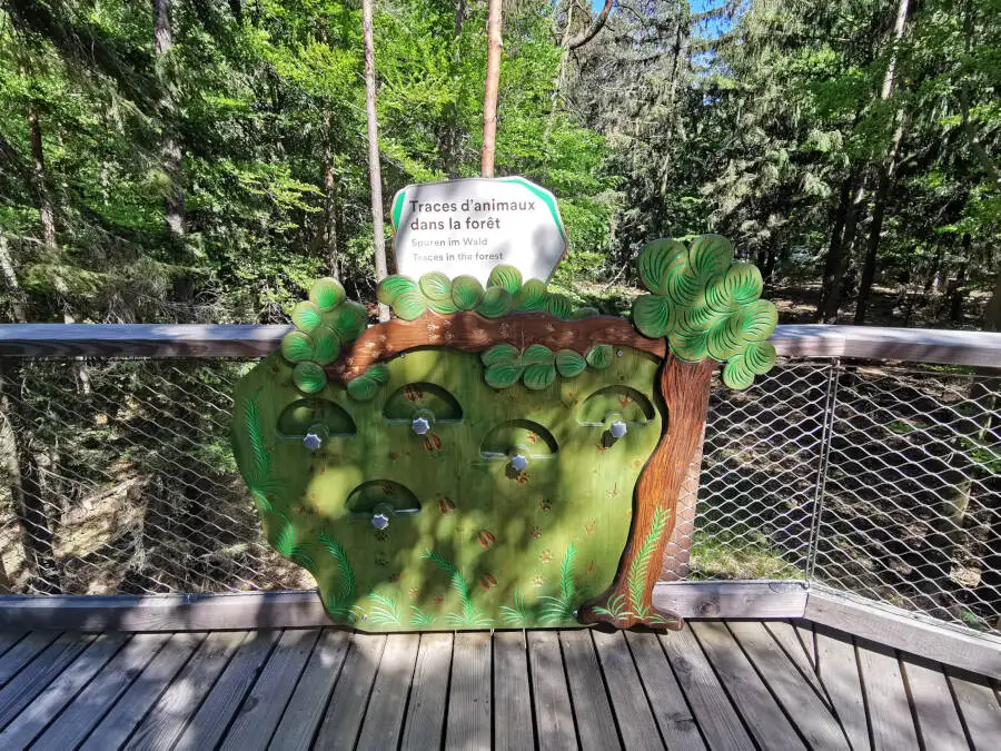 Baumwipfelpfad