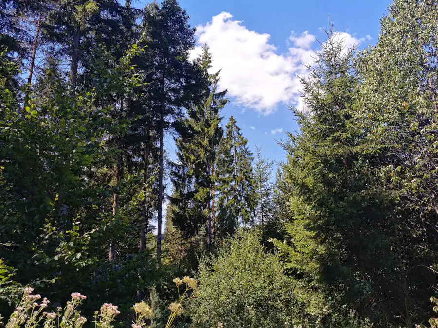 Wildpark im Schönbuch