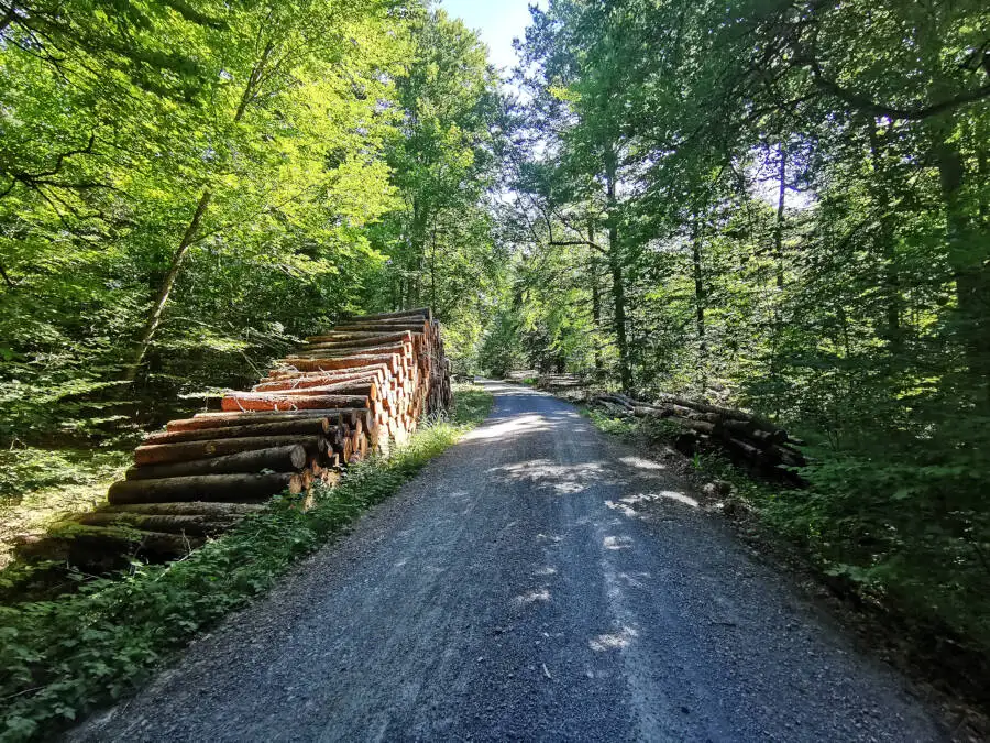 Wildpark im Schönbuch