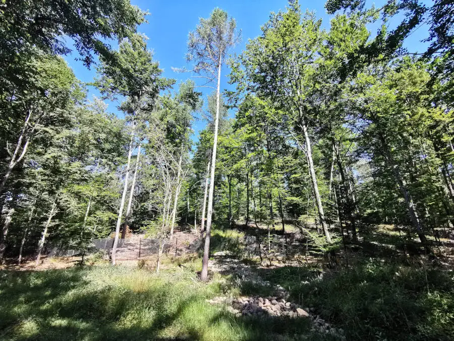 Wildpark im Schönbuch