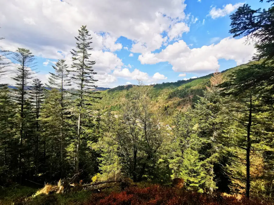 Rabensee in den Vogesen