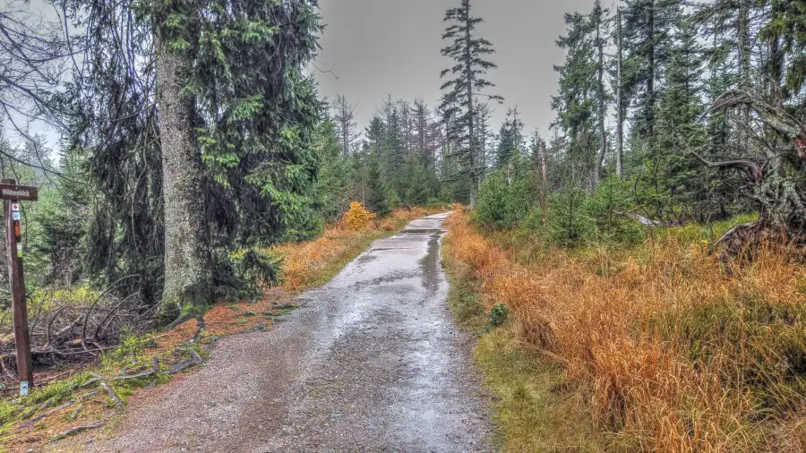 Ruhestein, Schwarzwald