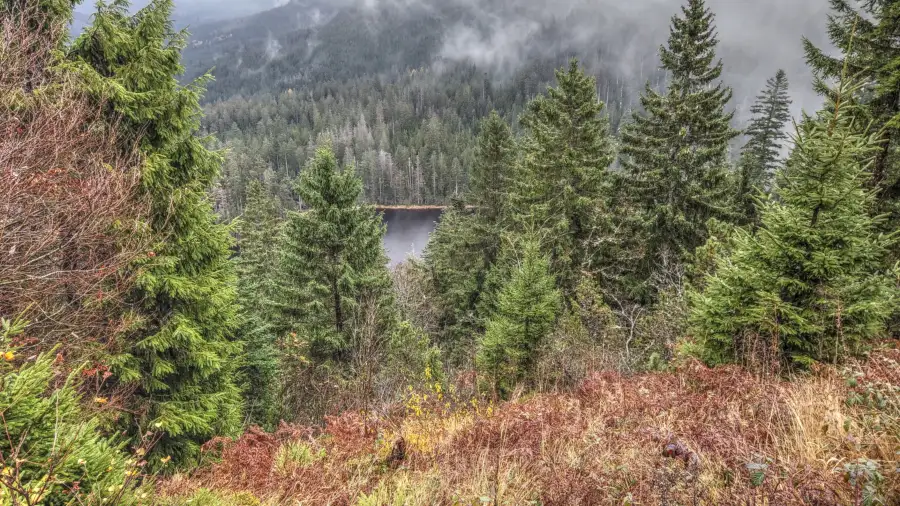 Ruhestein, Schwarzwald