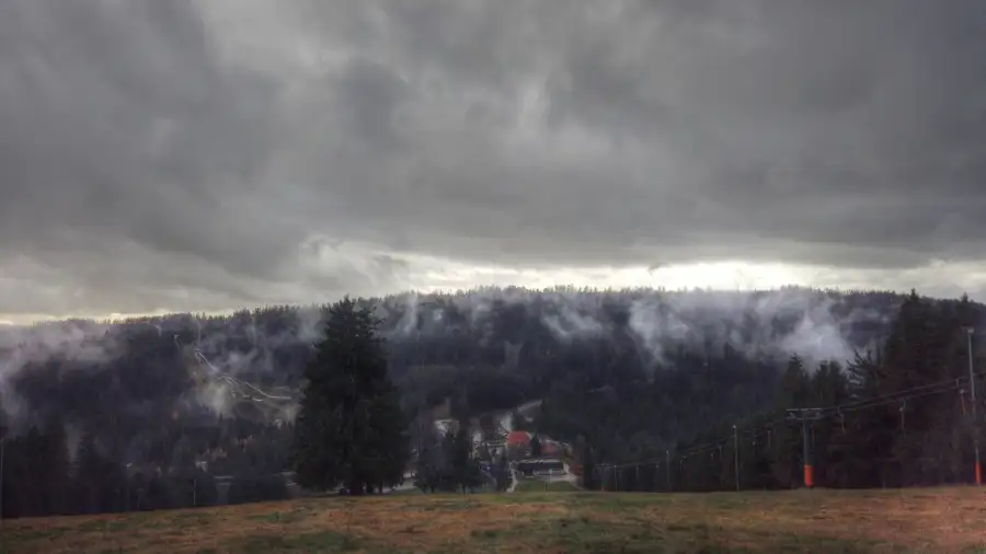 Ruhestein, Schwarzwald