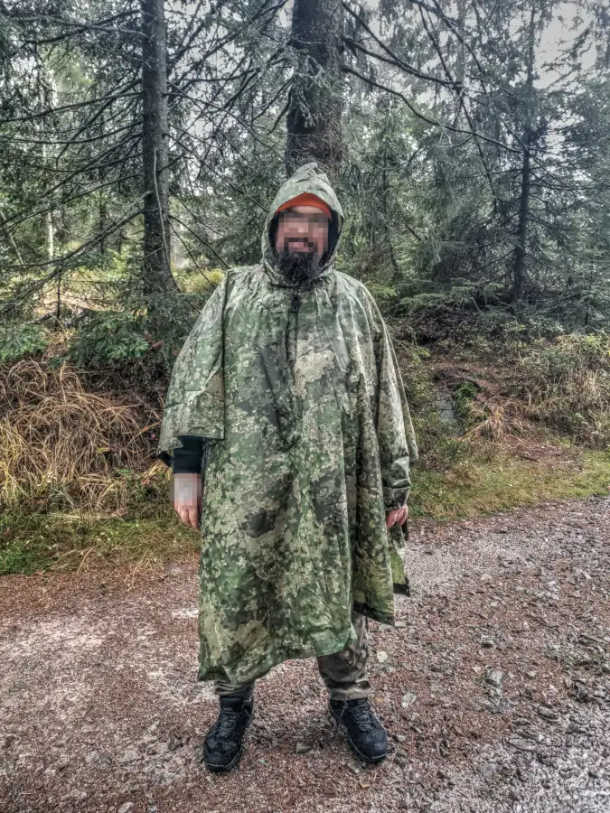 Ruhestein, Schwarzwald