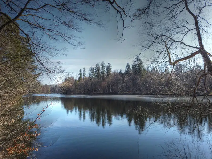 Der Bärensee bei Stuttgart