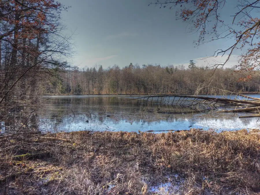 Der Bärensee bei Stuttgart