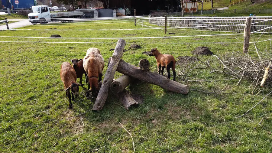 Seehaus in Leonbergs