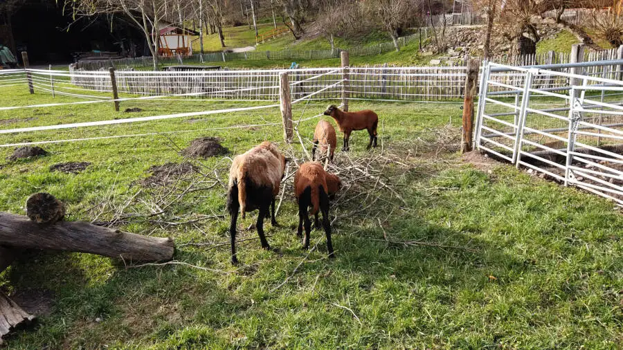 Seehaus in Leonbergs