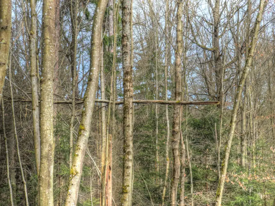 Osterspaziergang 2024